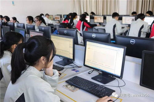 电子商务专业二级考试