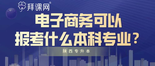 电子商务本科专业辅导